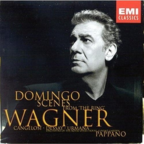 CD RICHARD WAGNER, ANTONIO PAPPANO, OR - Wagner Scenes from the Ring des Nie 724355724229 Non Japan Classical Used
CD RICHARD WAGNER, ANTONIO PAPPANO, OR - Wagner Scenes from the Ring des Nie 724355724229 Non Japan Classical Used