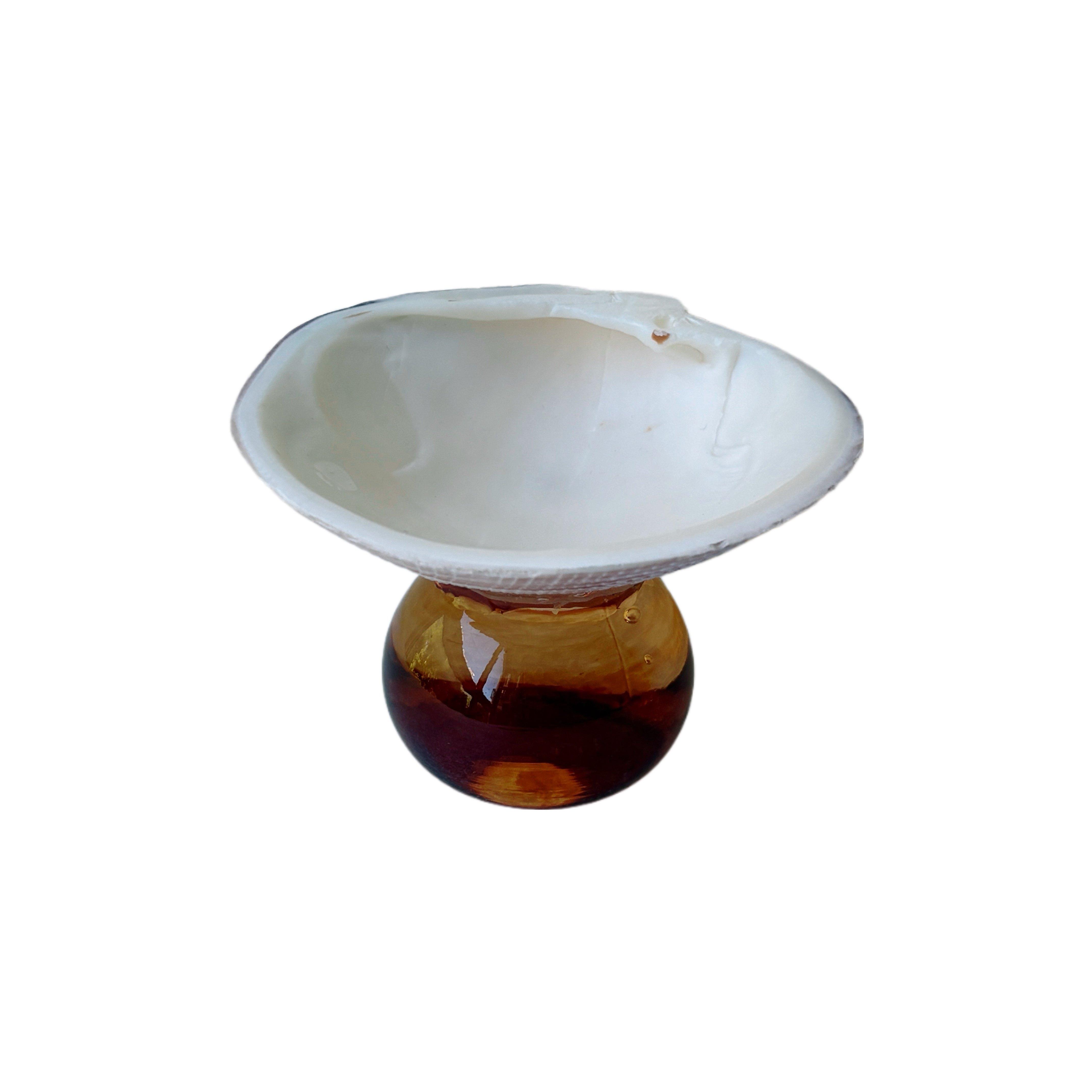 Creative Natural Shell Tray with Colorful Glass Base Jewelry Tray Dessert Fruit Plate Exquisite Shell Snack Dish Home Decoration
Creative Natural Shell Tray with Colorful Glass Base Jewelry Tray Dessert Fruit Plate Exquisite Shell Snack Dish Home Decoration