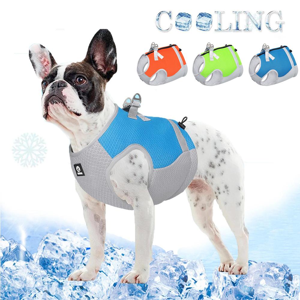 Cooling Dog Harness Summer Breathable Pet Chest Strape for Small Medium Large Dog Adjustable Reflective Vest Puppy Quick Cool Pet Jacket
Cooling Dog Harness Summer Breathable Pet Chest Strape for Small Medium Large Dog Adjustable Reflective Vest Puppy Quick Cool Pet Jacket