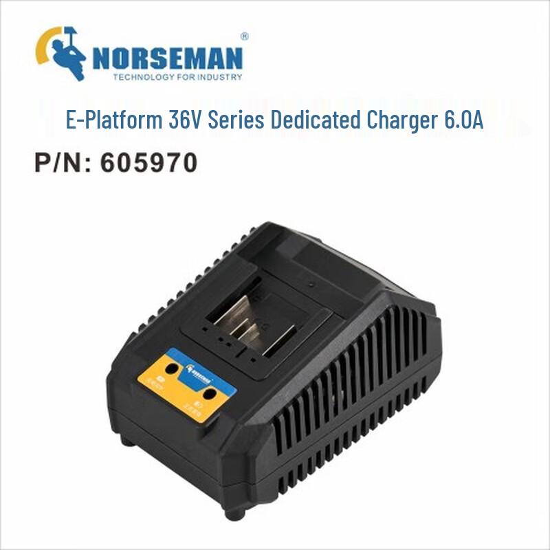 NORSUMAN 36V Lithium Battery Charger CN plug (adapter included)
NORSUMAN 36V Lithium Battery Charger CN plug (adapter included)