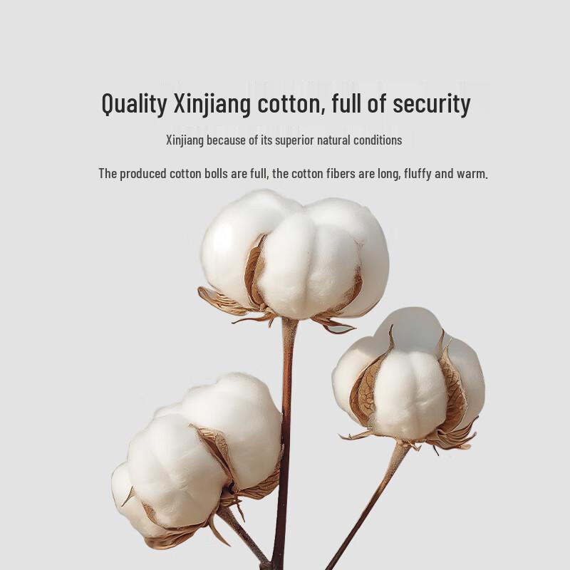 Luolai Home Textiles 100TC A-Grade Antibacterial Xinjiang Cotton Quilt 150cm*215cm
Luolai Home Textiles 100TC A-Grade Antibacterial Xinjiang Cotton Quilt 150cm*215cm