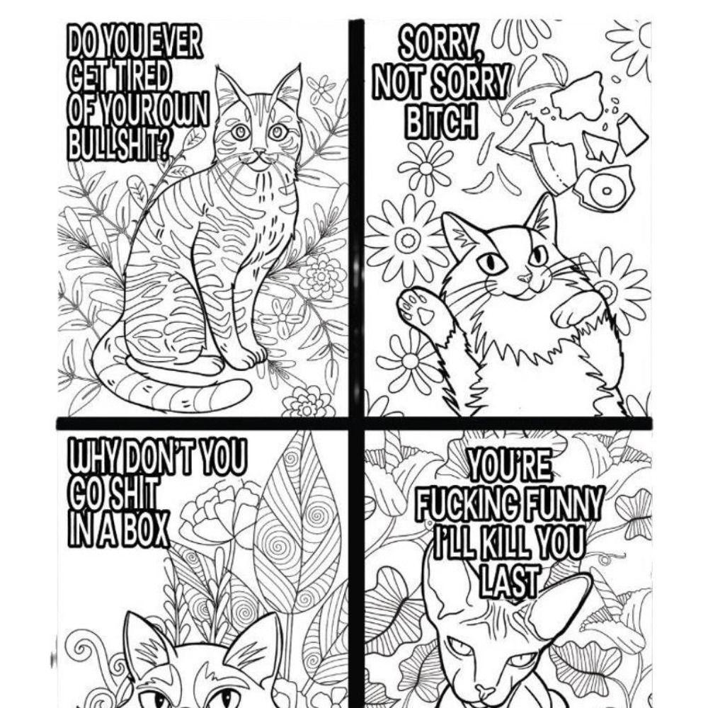 Книжка-розмальовка Catitude Cat Swearing Cats Drawing Coloring Books Creative Doodle Book
Книжка-розмальовка Catitude Cat Swearing Cats Drawing Coloring Books Creative Doodle Book