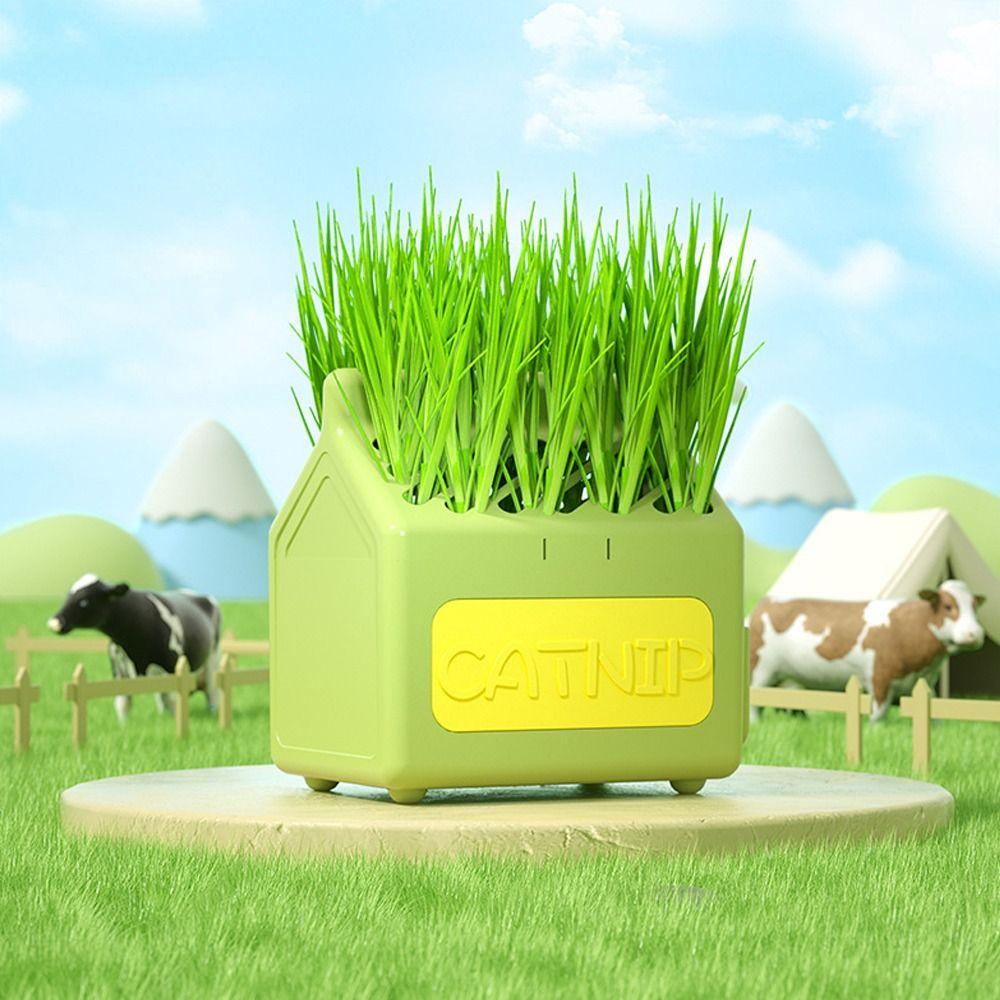 Молочный ящик для выращивания растений Лоток для проращивания Иерархический дизайн Горшок для рассады Ящик для посадки
Молочный ящик для выращивания растений Лоток для проращивания Иерархический дизайн Горшок для рассады Ящик для посадки