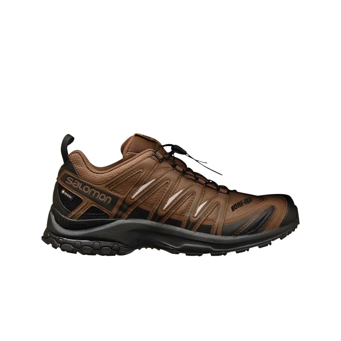Salomon X And Wander Xa Pro 3d Gore-tex Brown 300
Salomon X And Wander Xa Pro 3d Gore-tex Brown 300