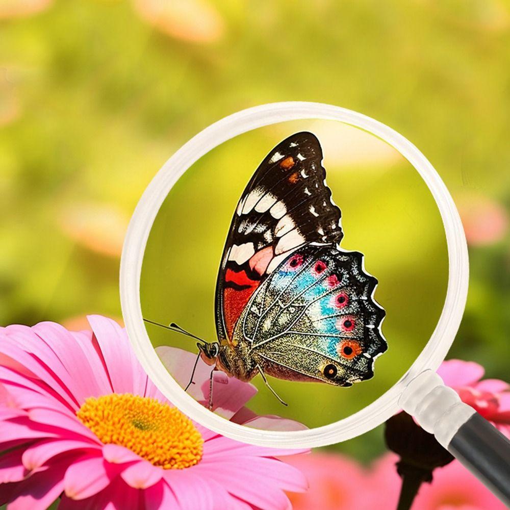 Lightweight Handheld Magnifying Glass Creative Stationery Tools Plastic Reading Magnifier Kids 1 Pc
Lightweight Handheld Magnifying Glass Creative Stationery Tools Plastic Reading Magnifier Kids 1 Pc