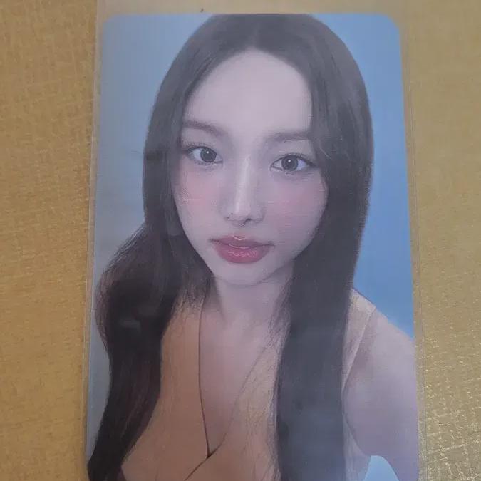 Na Yeon Healing Bird Foca For Sale
Na Yeon Healing Bird Foca For Sale