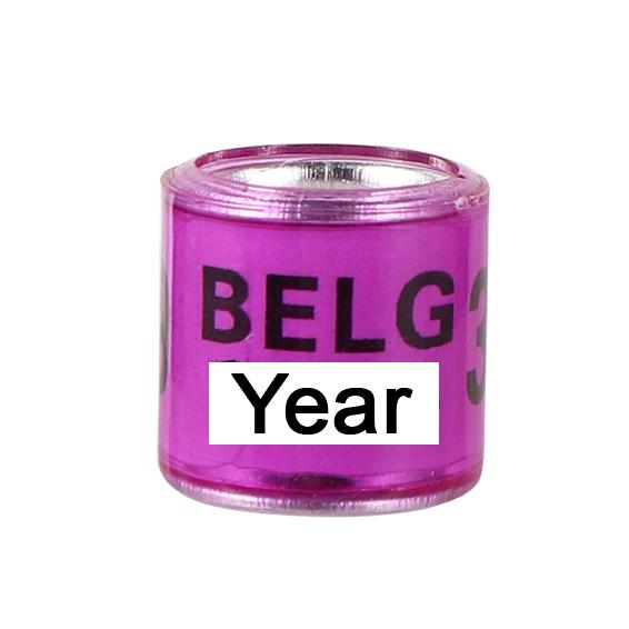 100 шт. 2026/2027 рік Багатоколірні кільця для ніг голубів з номером Птах Голуб Голуби Тренування Змагання Ідентифікація Кільце на ногу 10 кольорів 2026 фіолетовий
100 шт. 2026/2027 рік Багатоколірні кільця для ніг голубів з номером Птах Голуб Голуби Тренування Змагання Ідентифікація Кільце на ногу 10 кольорів 2026 фіолетовий