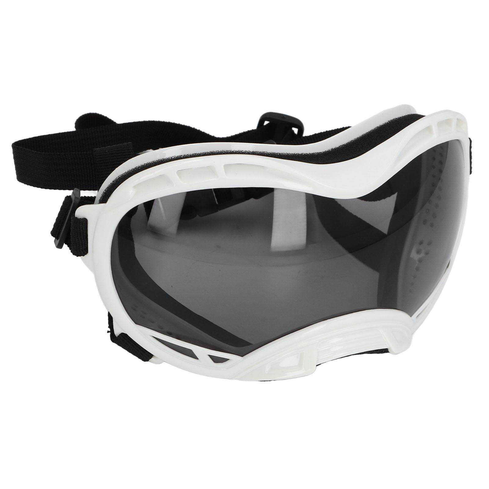 Pet Sunglasses Windproof UV Resistance Glasses for Large Dogs Soft and Comfortable PC Material Strap
Pet Sunglasses Windproof UV Resistance Glasses for Large Dogs Soft and Comfortable PC Material Strap
