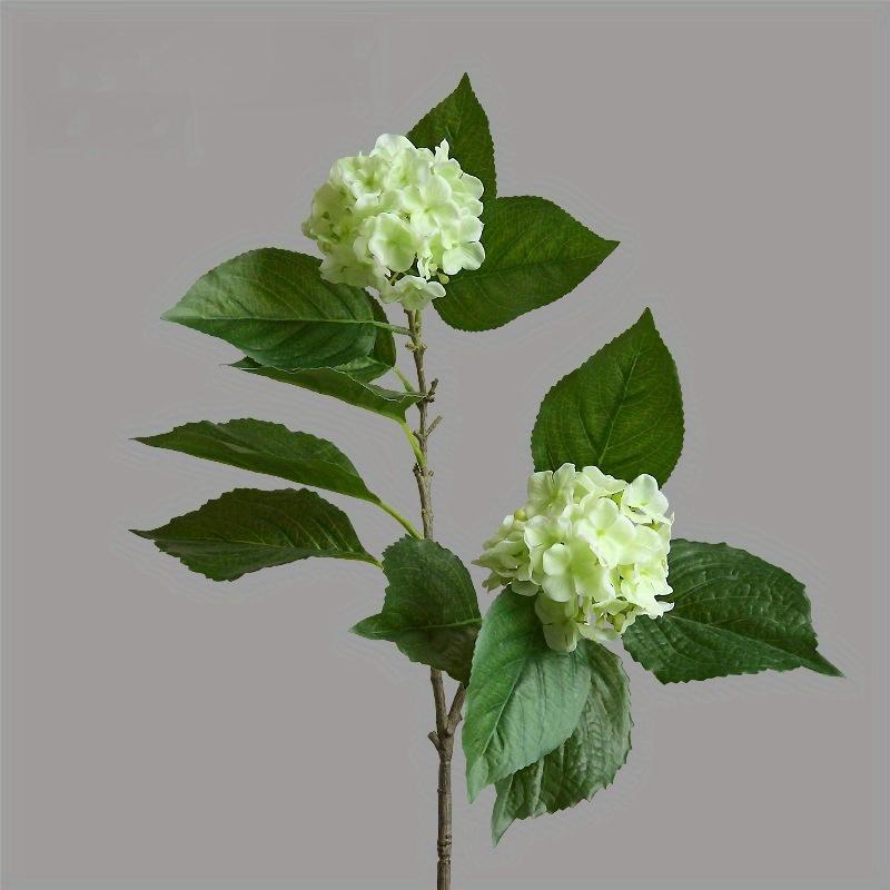 1 шт. Искусственный цветок 2 ветки 27,56 дюйма Снежинка Дерево для уличной свадьбы Гостиная Украшение стола Цветочная композиция Украшение зелёный
1 шт. Искусственный цветок 2 ветки 27,56 дюйма Снежинка Дерево для уличной свадьбы Гостиная Украшение стола Цветочная композиция Украшение зелёный