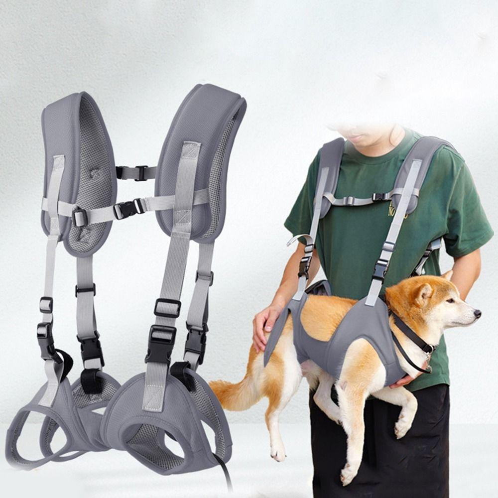 Big Capacity Pet Carrier Bags Soft Dog Duffel Bag Cat Out Travelling Bag for Small Medium Dogs S синій
Big Capacity Pet Carrier Bags Soft Dog Duffel Bag Cat Out Travelling Bag for Small Medium Dogs S синій