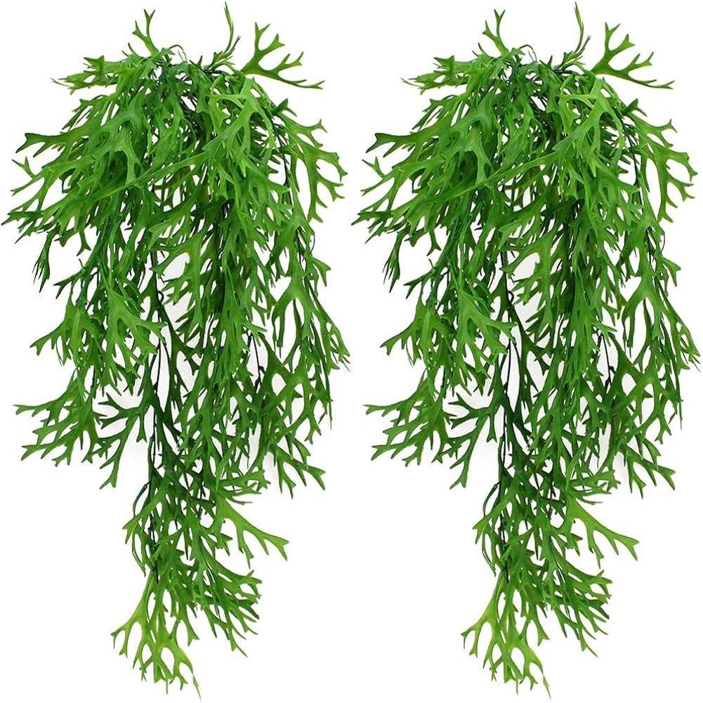 Staghorn For Fern Themed Artificial Hanging Plants 2 Pack for Home Garden Living Space Decor Indoor Outdoor Hanging Applications China Mainland
Staghorn For Fern Themed Artificial Hanging Plants 2 Pack for Home Garden Living Space Decor Indoor Outdoor Hanging Applications China Mainland