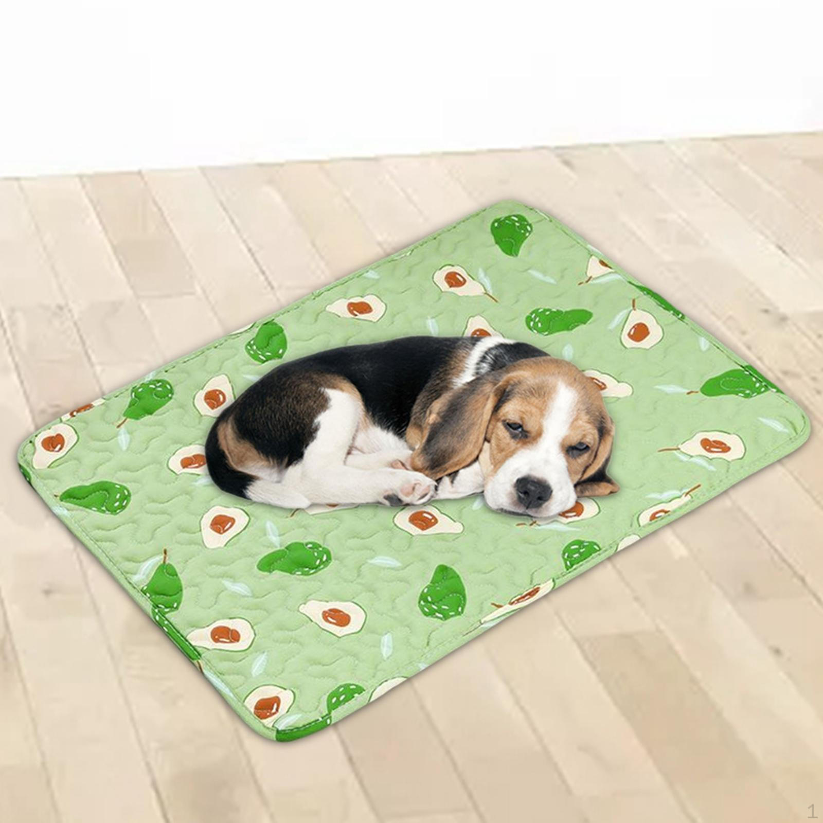 Bed Mat with Stylish Designs - Easy to Clean and Non-Slip 40cmx30cm
Bed Mat with Stylish Designs - Easy to Clean and Non-Slip 40cmx30cm
