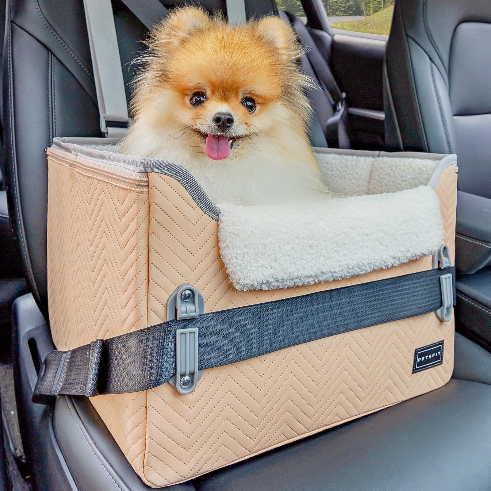 Petsfit Собака Поездка Двойной Устойчивый Крепится к Высоте Вождения Автомобиля Вождение Предотвращает Прыжки Пространство Предотвращает Пассажирский Задний Загар M Бокс, Дизайн, Сиденье,
Petsfit Собака Поездка Двойной Устойчивый Крепится к Высоте Вождения Автомобиля Вождение Предотвращает Прыжки Пространство Предотвращает Пассажирский Задний Загар M Бокс, Дизайн, Сиденье,