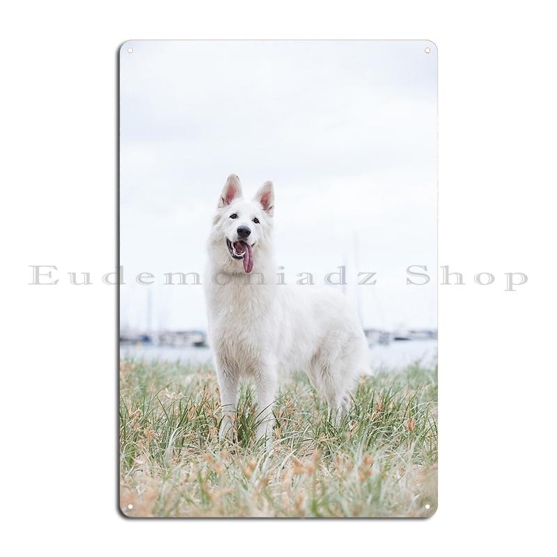 White Swiss Shepherd Dog Metal Sign Wall Mural Cinema Rusty Iron Customize White Swiss Shepherd Tin Sign Poster 40x30cm
White Swiss Shepherd Dog Metal Sign Wall Mural Cinema Rusty Iron Customize White Swiss Shepherd Tin Sign Poster 40x30cm