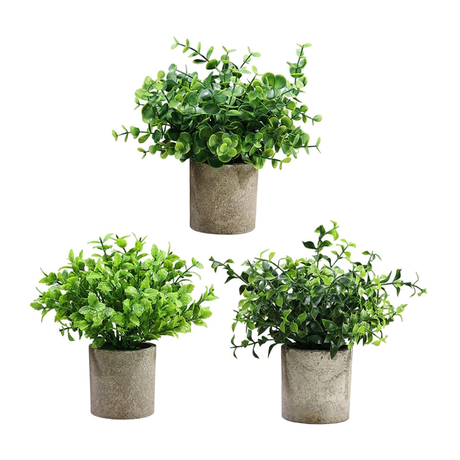 3x Small Fake Plants Table Centerpiece Faux Plants Mini Potted Artificial Plants for Shelf Indoor Home Farmhouse Living Room
3x Small Fake Plants Table Centerpiece Faux Plants Mini Potted Artificial Plants for Shelf Indoor Home Farmhouse Living Room