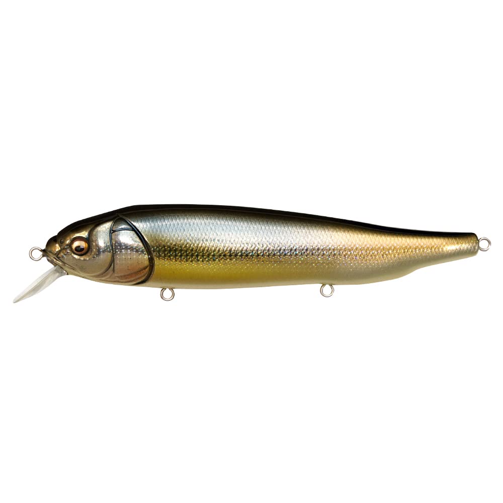 Megabass LATES FeedingWoofer DD Silver Shad
Megabass LATES FeedingWoofer DD Silver Shad