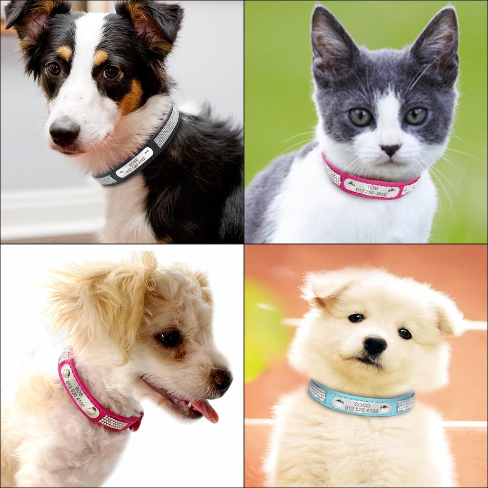 Suede Leather Dog Collar Rhinestone Dogs Cat Personalized ID Collars Customized For Small Medium Pet Puppy Hot Pink Blue Black XS чёрный
Suede Leather Dog Collar Rhinestone Dogs Cat Personalized ID Collars Customized For Small Medium Pet Puppy Hot Pink Blue Black XS чёрный