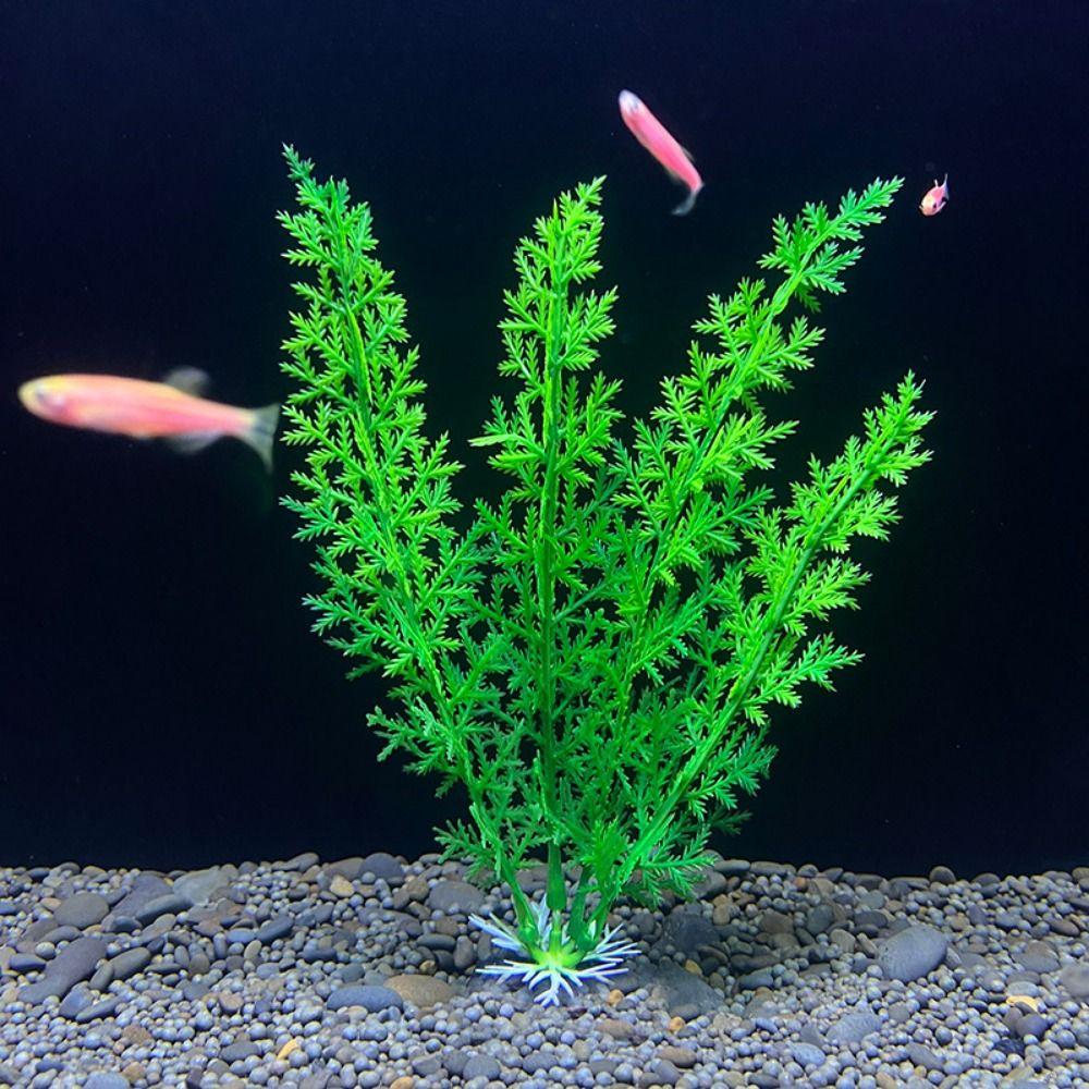 18cm Simulation Water Grass Lifelike Aquatic Water Grass Artificial Underwater Plants Fish Tank Style E
18cm Simulation Water Grass Lifelike Aquatic Water Grass Artificial Underwater Plants Fish Tank Style E