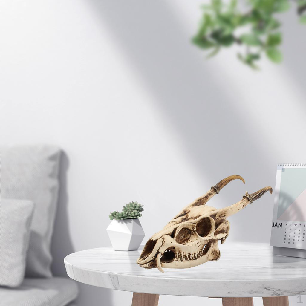 Skull Head Sculpture Model Resin Animal Vintage Style Creative Figurines Viking Gothic for Party,
Skull Head Sculpture Model Resin Animal Vintage Style Creative Figurines Viking Gothic for Party,