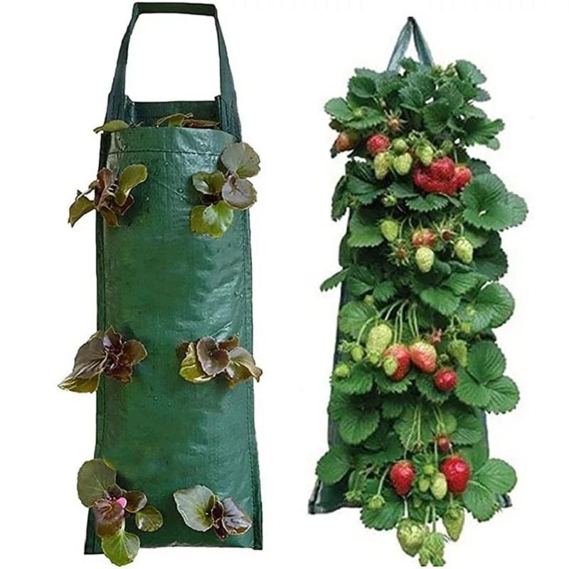Multi-Function Hanging Strawberry Grow Bag Upside Down Planter Tomato Potato Vegetable Flower Plant Grow Bags Garden Decoration зелёный
Multi-Function Hanging Strawberry Grow Bag Upside Down Planter Tomato Potato Vegetable Flower Plant Grow Bags Garden Decoration зелёный