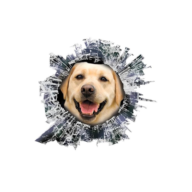 Labrador Car Stickers Scratch Blocking Self-Adhesive Waterproof Decal, Used for Car, Laptop, Motorcycle, Van, RV 15cm-Longest Side
Labrador Car Stickers Scratch Blocking Self-Adhesive Waterproof Decal, Used for Car, Laptop, Motorcycle, Van, RV 15cm-Longest Side