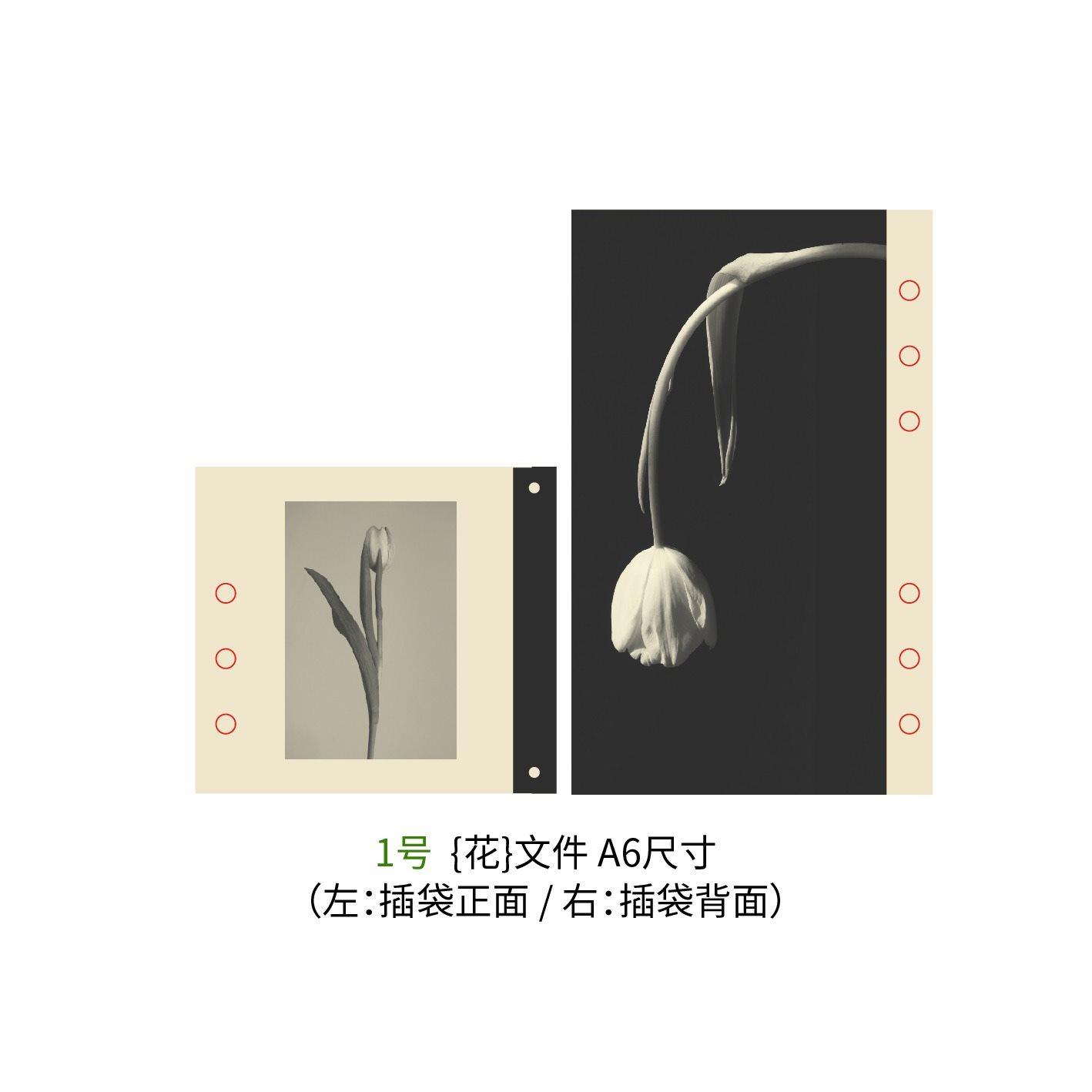 1pcs Storage folder, loose leaf notebook, accessory partition page, photography collage material
1pcs Storage folder, loose leaf notebook, accessory partition page, photography collage material