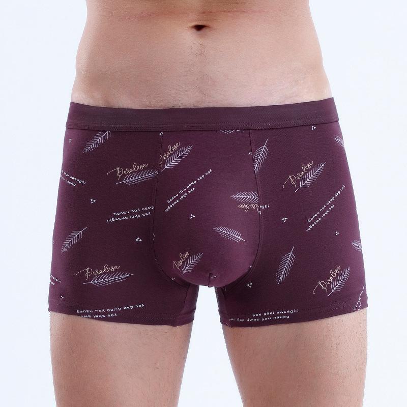Large Size Men s New Spring-autumn Style Three Dimensional Printed Cotton Breathable Mid Rise Straight Leg Underwear XL темно-фіолетовий колір
Large Size Men s New Spring-autumn Style Three Dimensional Printed Cotton Breathable Mid Rise Straight Leg Underwear XL темно-фіолетовий колір
