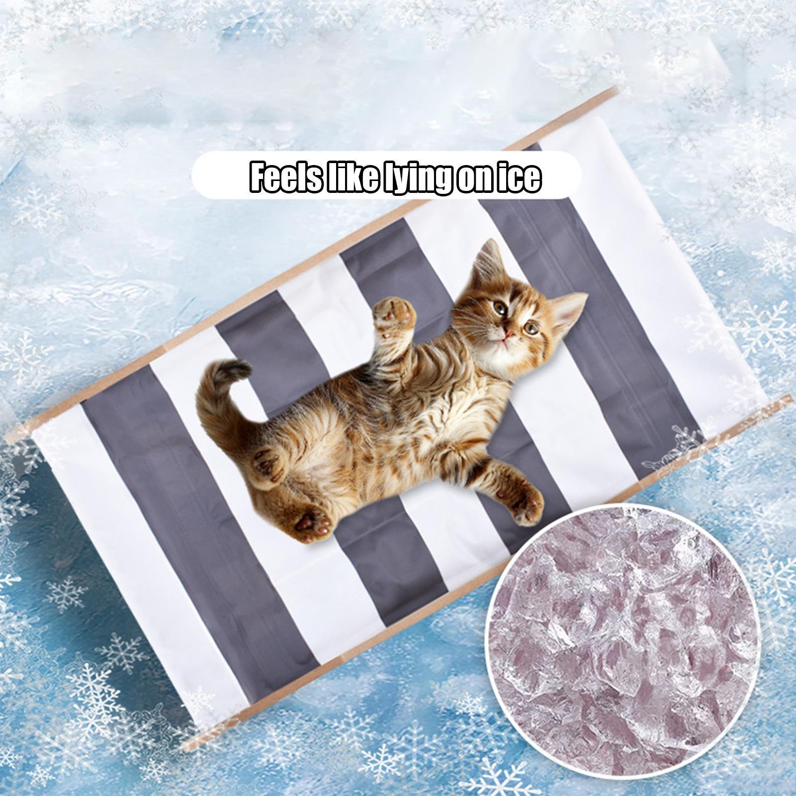 Cat Cooling Mat Cooling Ice Pad Elevated Cat Bed Breathable Elevated Ice Lounger Chair Pet Accessories Dog Furniture for Indoor China Mainland
Cat Cooling Mat Cooling Ice Pad Elevated Cat Bed Breathable Elevated Ice Lounger Chair Pet Accessories Dog Furniture for Indoor China Mainland