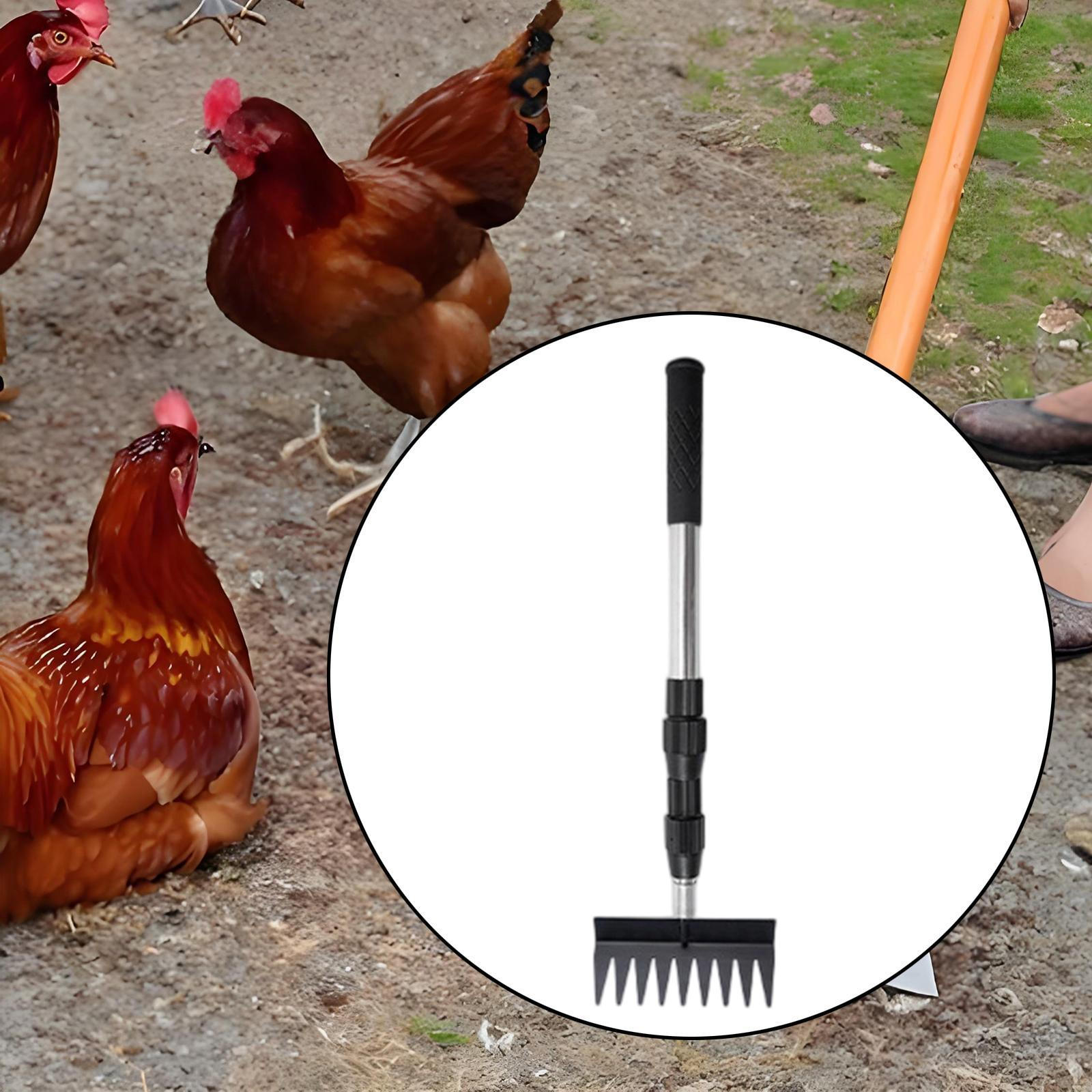 Регулируемый совок для куриного помета с длинной ручкой, металлический, для уборки фермы rake
Регулируемый совок для куриного помета с длинной ручкой, металлический, для уборки фермы rake