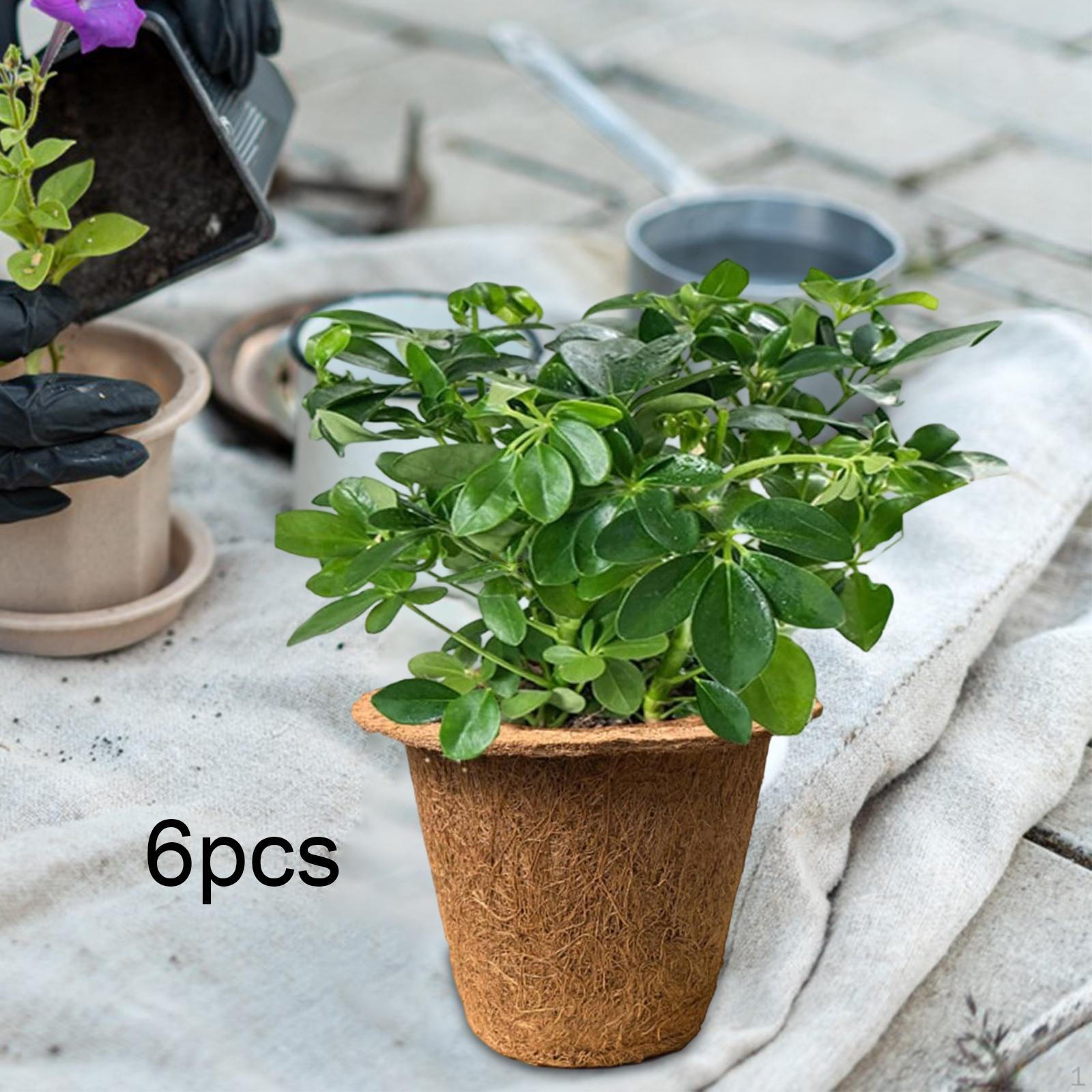 6Pcs Coir Fiber Nursery Pots Garden Container Portable Plant Seedling Cups with Drainage for Indoor
6Pcs Coir Fiber Nursery Pots Garden Container Portable Plant Seedling Cups with Drainage for Indoor