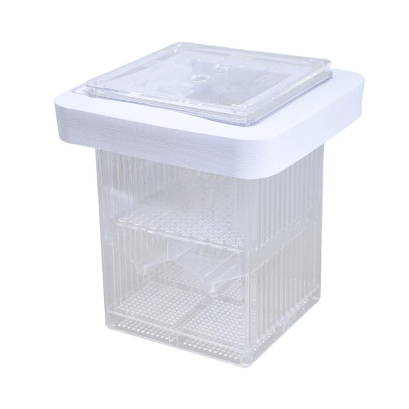 FishTank Hatchery Incubator Aquarium Small Breeding Box Clear Breeder Isolation Hatching Box Double Layer
FishTank Hatchery Incubator Aquarium Small Breeding Box Clear Breeder Isolation Hatching Box Double Layer