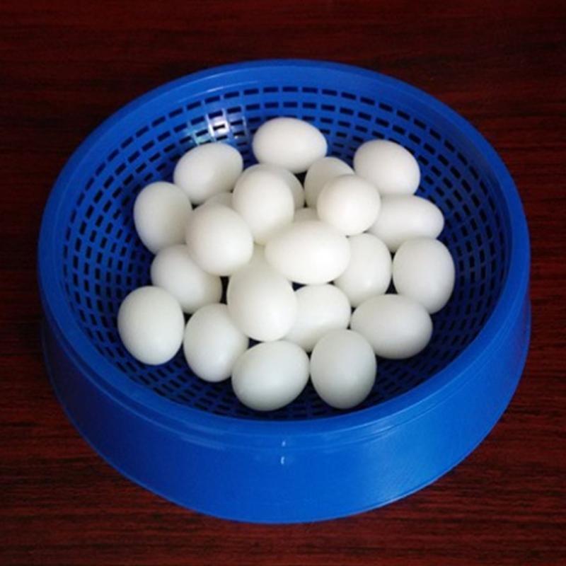 5Pcs Artificial Bird Eggs Parrots Plastic Eggs for Parrotlet Budgies
5Pcs Artificial Bird Eggs Parrots Plastic Eggs for Parrotlet Budgies