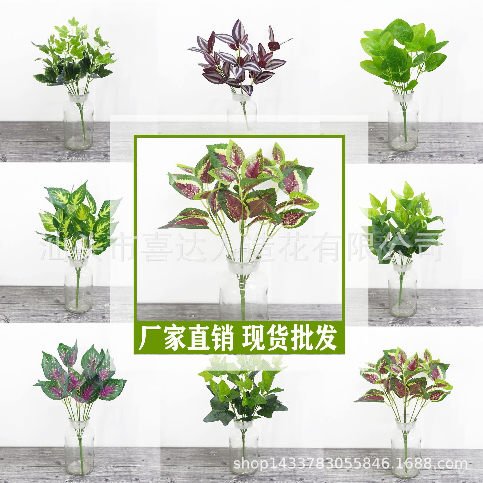 Leaf Simulation Aquatic Plants 7 Forks, Green Dill Leaves, Evergreen Sweet Potato Leaves Inserted Into Pots, Shooting Props For Landscaping
Leaf Simulation Aquatic Plants 7 Forks, Green Dill Leaves, Evergreen Sweet Potato Leaves Inserted Into Pots, Shooting Props For Landscaping