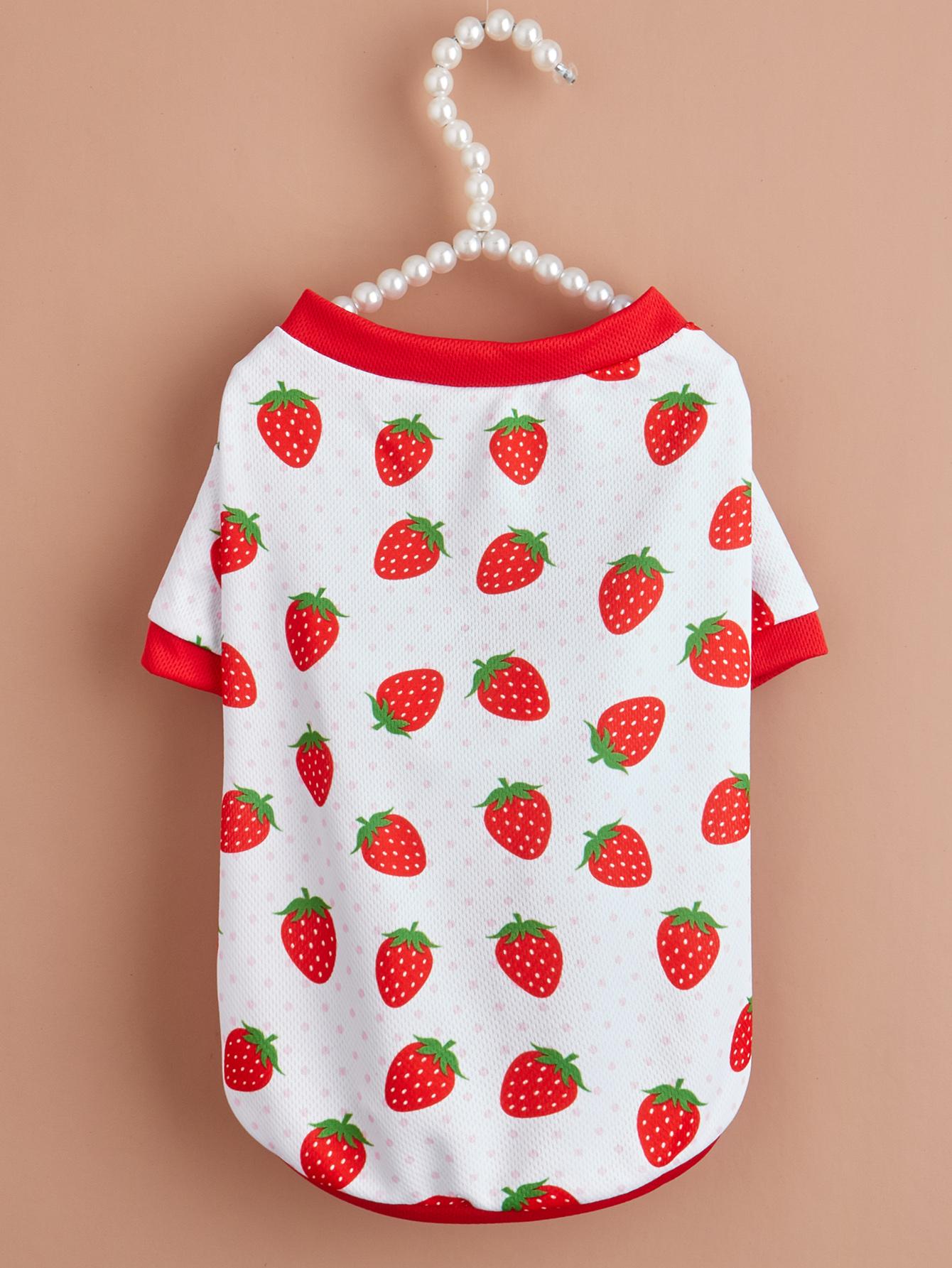 Summer Pet Clothes for Small Cats/Dogs, Breathable Mesh Cat/Dog Shirts, Fruit - Patterned (Strawberry/Lime) Pet Apparel Outfits XS червоний
Summer Pet Clothes for Small Cats/Dogs, Breathable Mesh Cat/Dog Shirts, Fruit - Patterned (Strawberry/Lime) Pet Apparel Outfits XS червоний