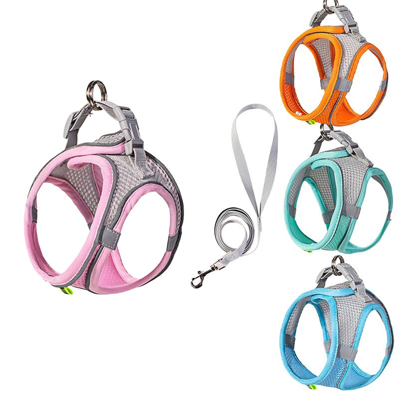 Dog Harness Small Breed Harness for A Small Dog Large Dog Harness Harnait Chest GXQ03 L(7-11) kg
Dog Harness Small Breed Harness for A Small Dog Large Dog Harness Harnait Chest GXQ03 L(7-11) kg