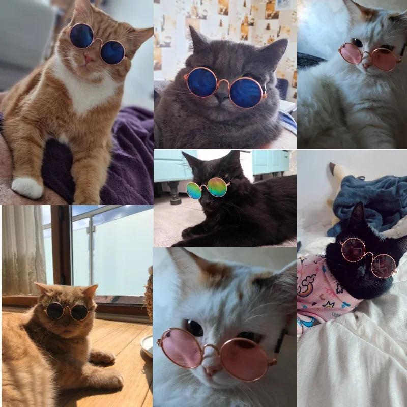 Glasses For a Cat Pet Products Goods For Animals Dog Accessories Cool Funny The Kitten Lenses Sun Photo Props Colored Sunglasses серый
Glasses For a Cat Pet Products Goods For Animals Dog Accessories Cool Funny The Kitten Lenses Sun Photo Props Colored Sunglasses серый