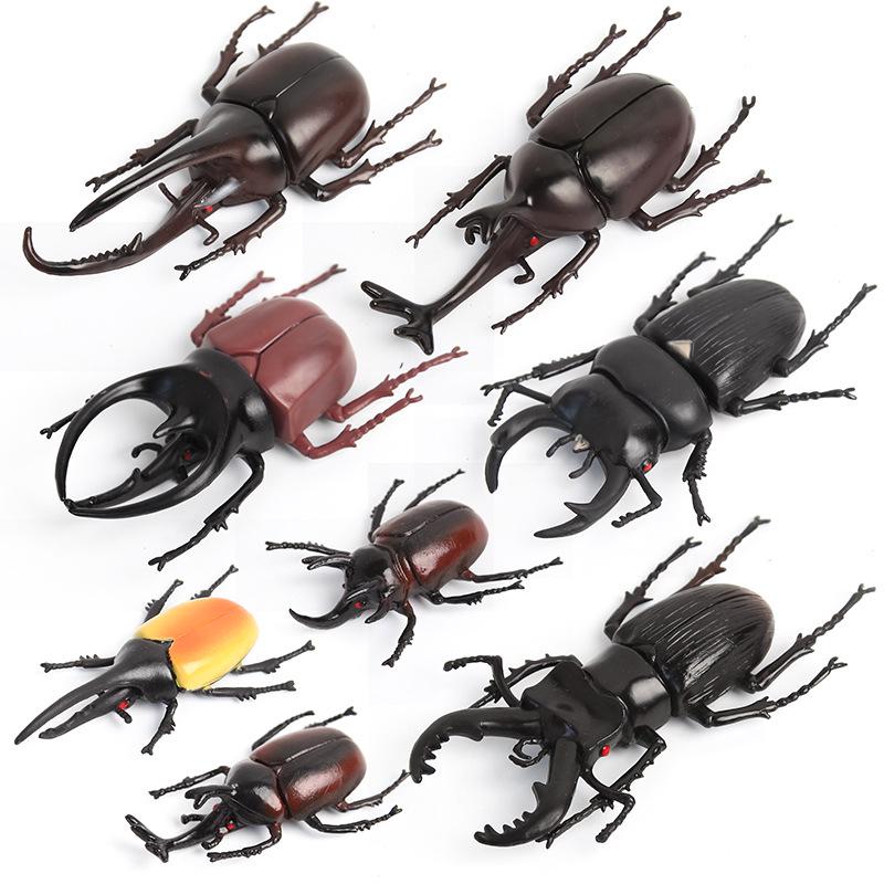 TPR Floating Water Beetle Toy - Soft Rubber Simulation Model Insect Medium Beetle Set (6 pcs)
TPR Floating Water Beetle Toy - Soft Rubber Simulation Model Insect Medium Beetle Set (6 pcs)