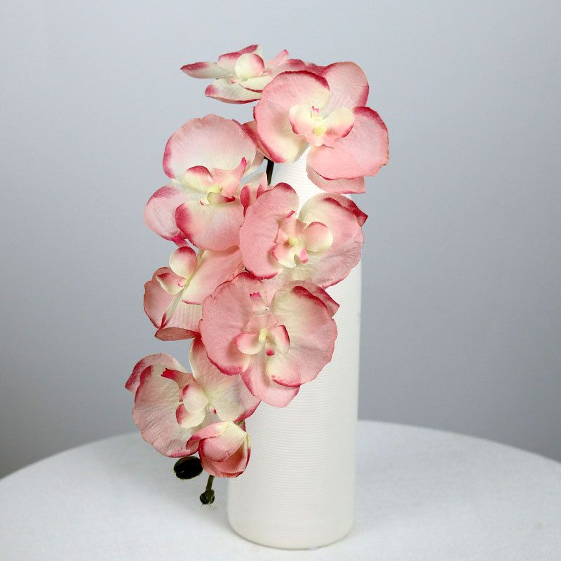 Artificial Flower Decorative Display Fake Flowers One Size
Artificial Flower Decorative Display Fake Flowers One Size