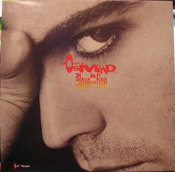 12inch Record DONNY OSMOND - My Love Is A Fire (DJ Pierre Remixe V15642 Capitol Records 1990 US Dance & Electronica Used
12inch Record DONNY OSMOND - My Love Is A Fire (DJ Pierre Remixe V15642 Capitol Records 1990 US Dance & Electronica Used