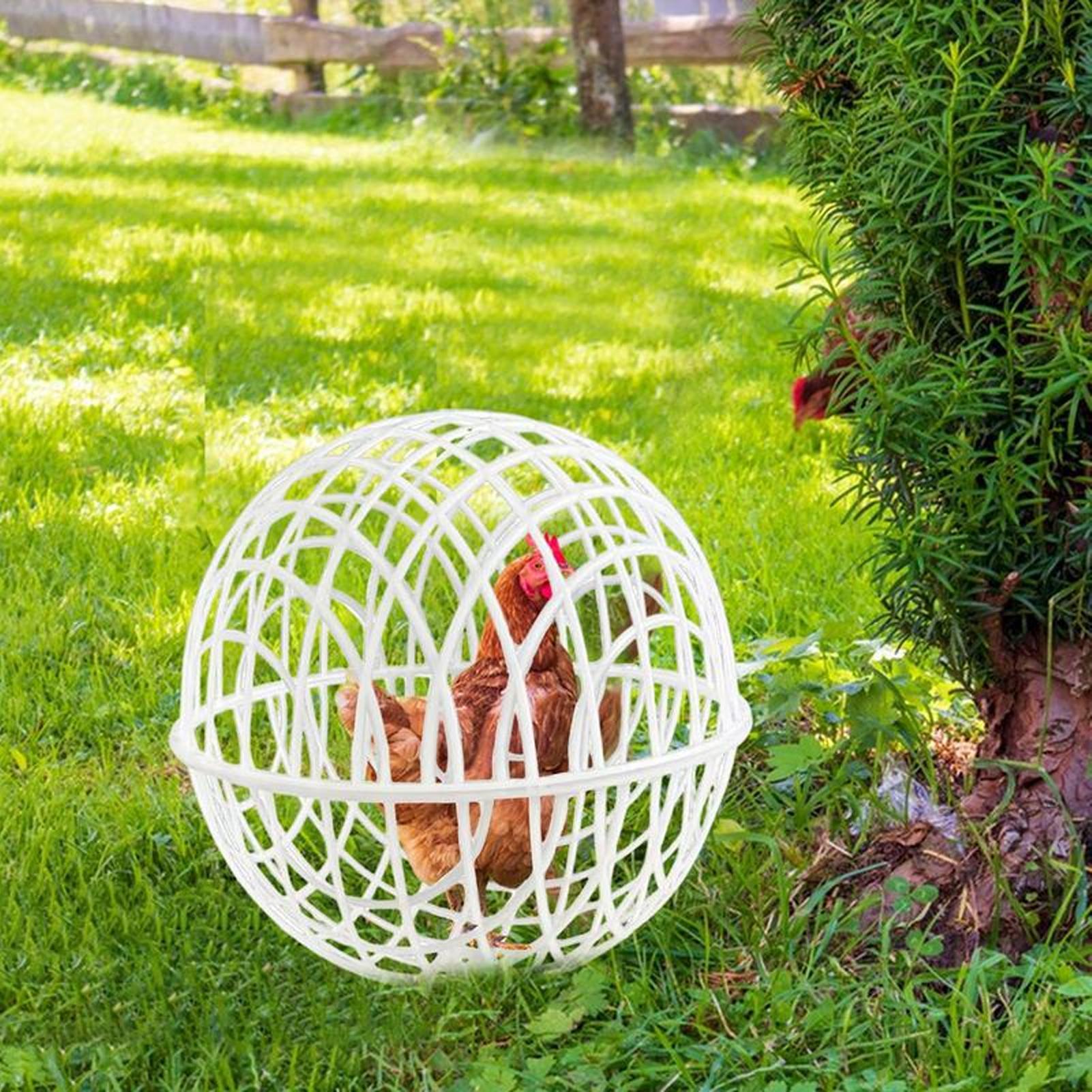 Chicken Ball Cage 3 Pieces Movable Chicken Cage Poultry Habitat breathability Supplies for Vegetable Protection Pasture Yard 3PCS
Chicken Ball Cage 3 Pieces Movable Chicken Cage Poultry Habitat breathability Supplies for Vegetable Protection Pasture Yard 3PCS
