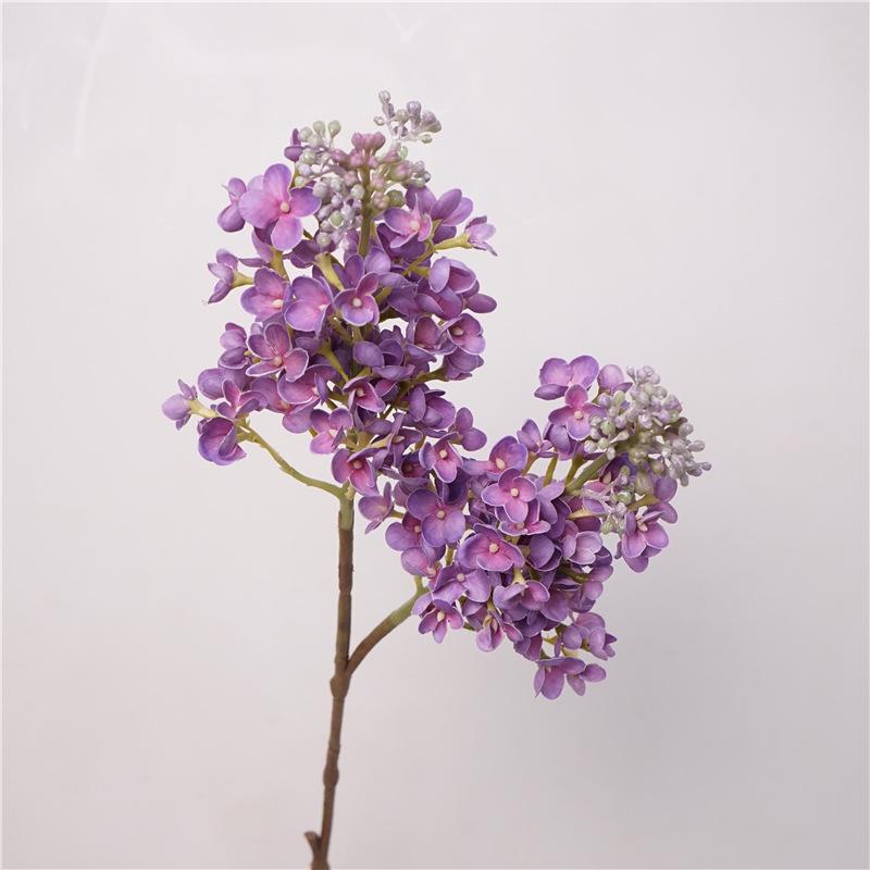 4Pc/lot Feel Real Touch Moisturizing Lilac Latex Artificial Flowers Home Table Decoration Floral Event Party Wedding Fake Flower (as the picture,2Pcs lot)
4Pc/lot Feel Real Touch Moisturizing Lilac Latex Artificial Flowers Home Table Decoration Floral Event Party Wedding Fake Flower (as the picture,2Pcs lot)