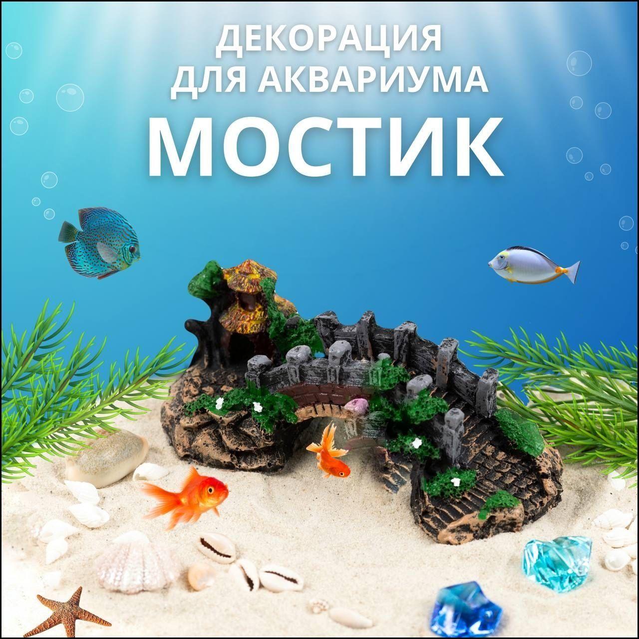 Маленький корінь корча Акваріумна прикраса Орнамент One Size
Маленький корінь корча Акваріумна прикраса Орнамент One Size