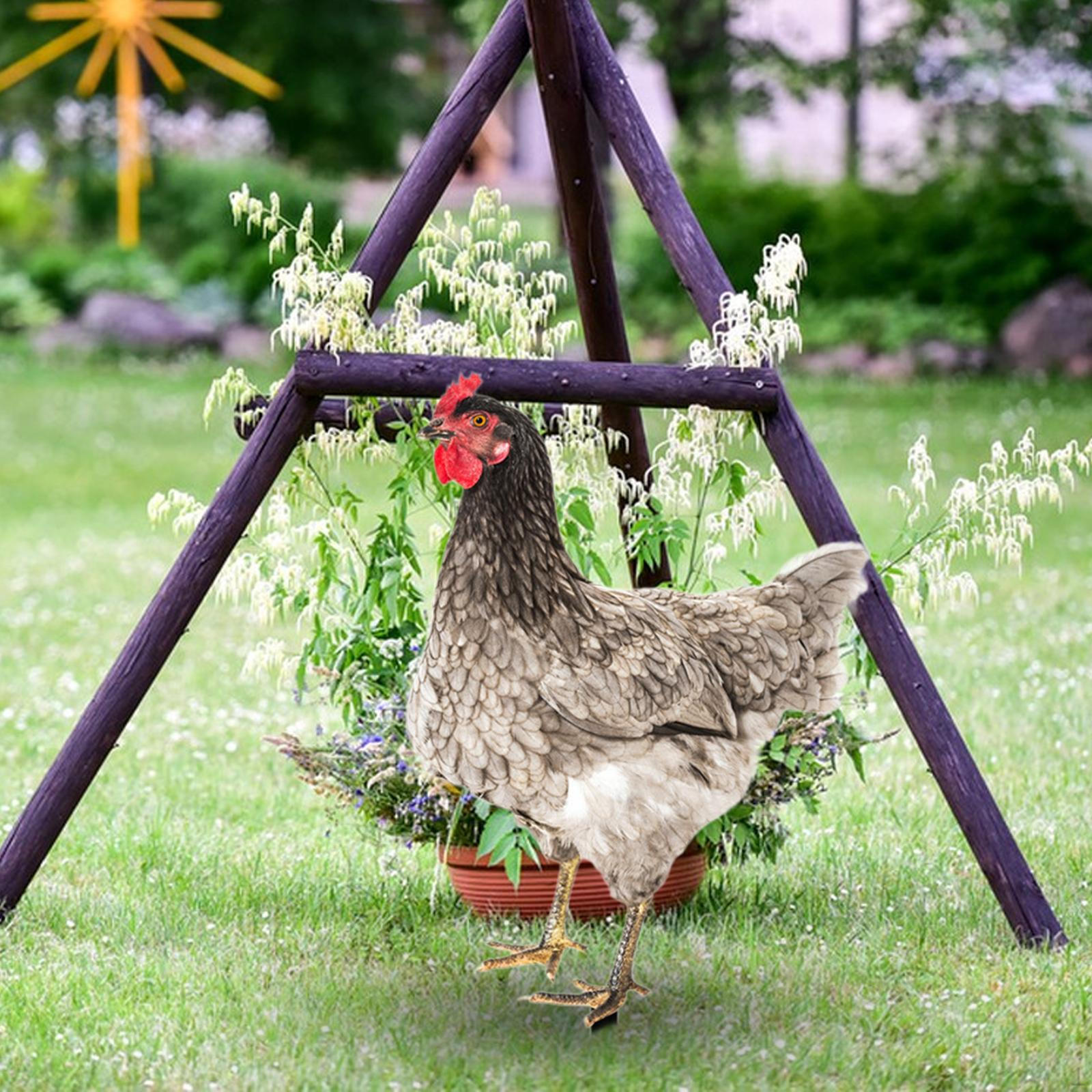 Статуя куриного сада, украшение для лужайки, декоративное крыльцо, фестиваль, петух, двор, статуэтка для Style C
Статуя куриного сада, украшение для лужайки, декоративное крыльцо, фестиваль, петух, двор, статуэтка для Style C