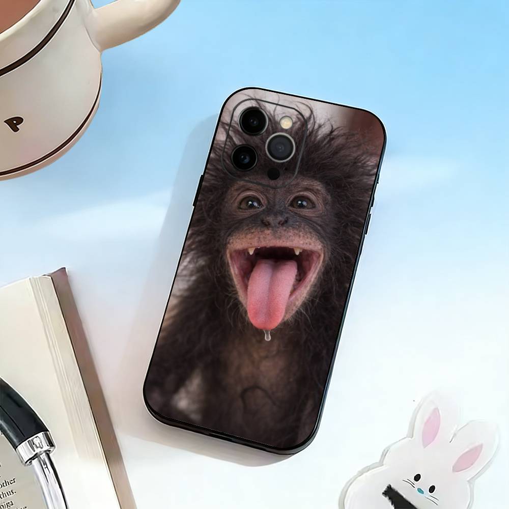Monkey Memes Funny-d-D Phone Case For iPhone 17, 16,15,14,13,12,11 Plus,Pro Max, Others Soft Black Cover iPhone16plus
Monkey Memes Funny-d-D Phone Case For iPhone 17, 16,15,14,13,12,11 Plus,Pro Max, Others Soft Black Cover iPhone16plus