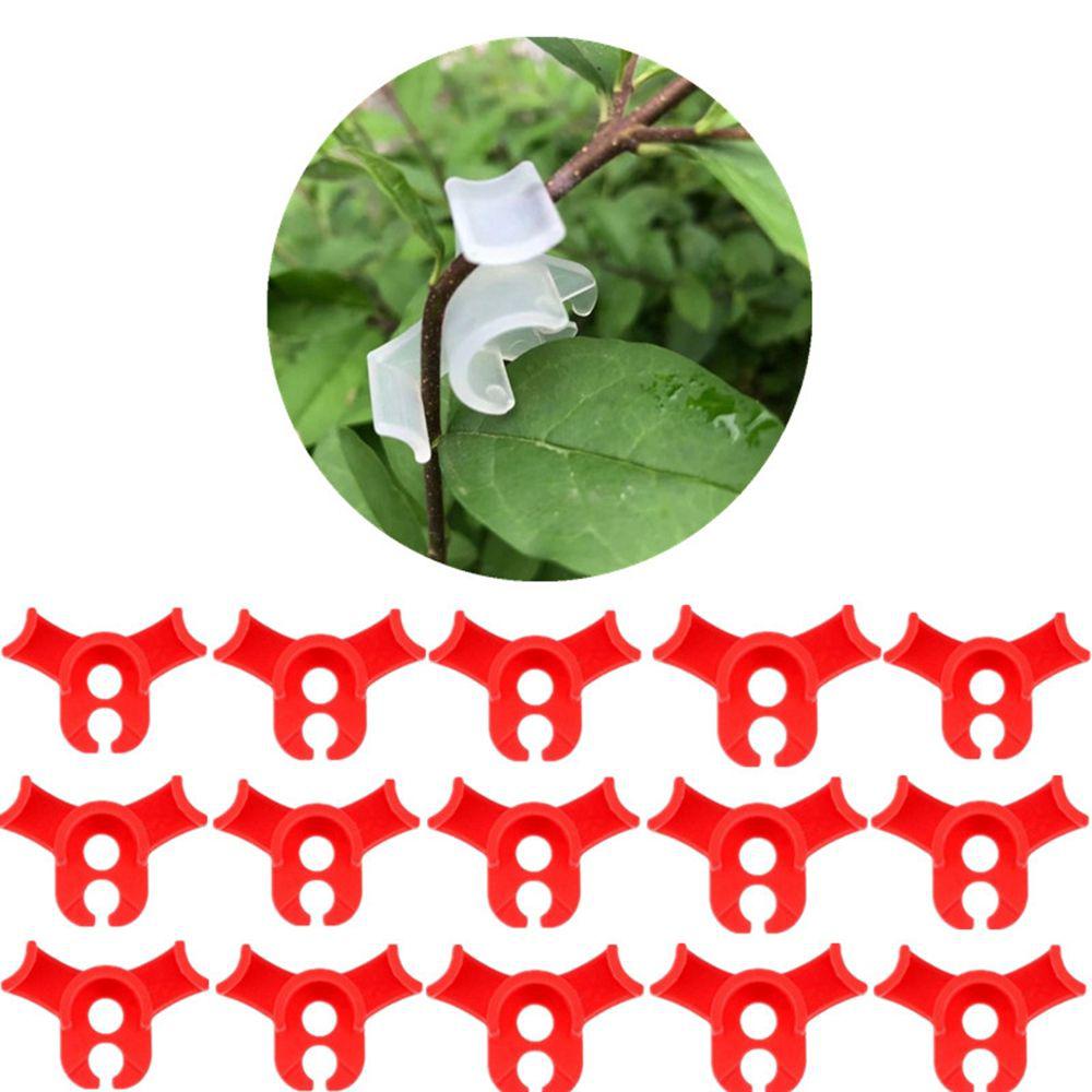 Clamp Bending Growth Manipulations Тренер растений Plant Trainer Сгибатели растений Зажимы для растений Зажимы для веток
Clamp Bending Growth Manipulations Тренер растений Plant Trainer Сгибатели растений Зажимы для растений Зажимы для веток