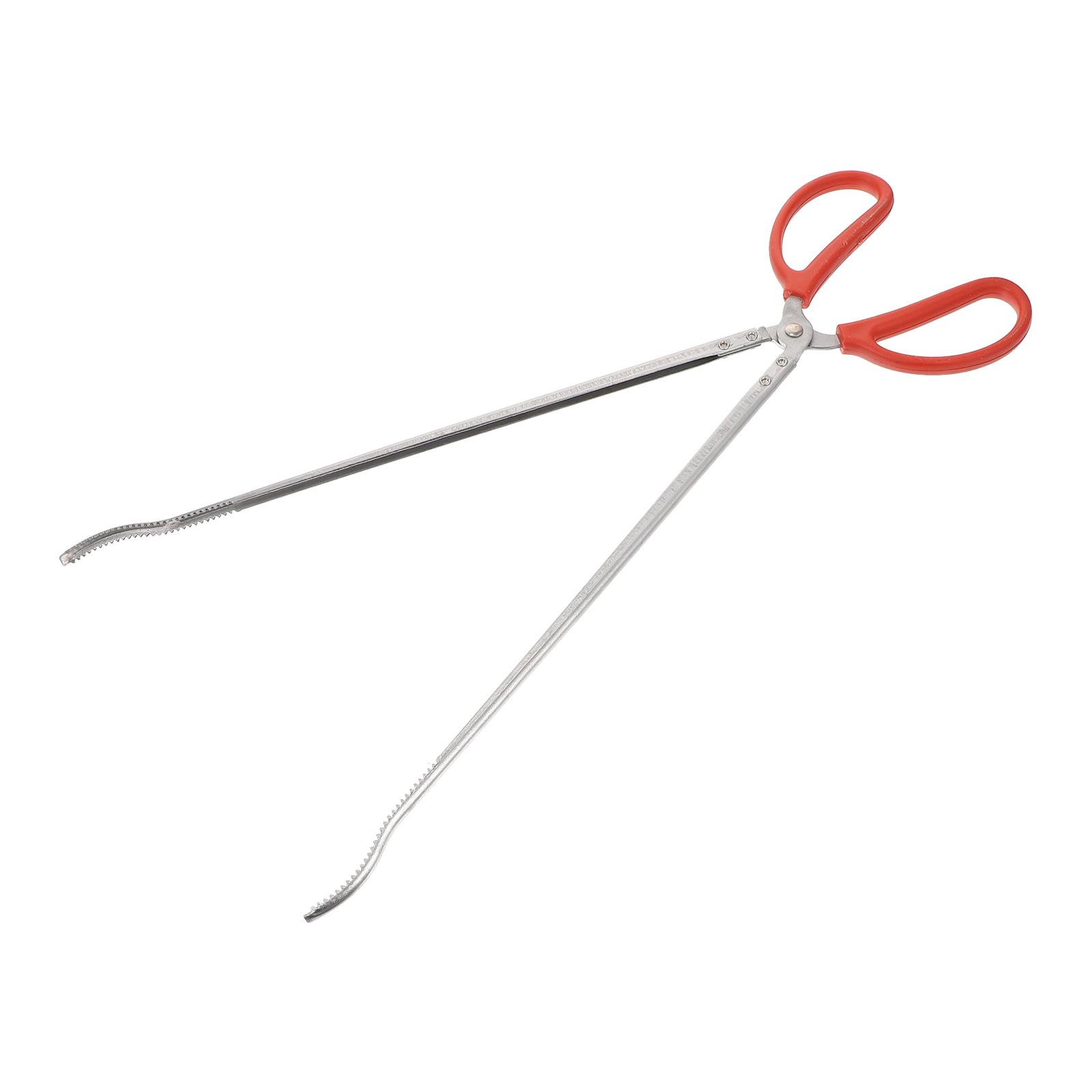 Stainless Steel Tongs Kitchen Utensils Barbecue Fire Tongs Briquette Clamps Grilling Supplies Yard Garbage Clamp Household Tongs 52X11X1.2CM
Stainless Steel Tongs Kitchen Utensils Barbecue Fire Tongs Briquette Clamps Grilling Supplies Yard Garbage Clamp Household Tongs 52X11X1.2CM