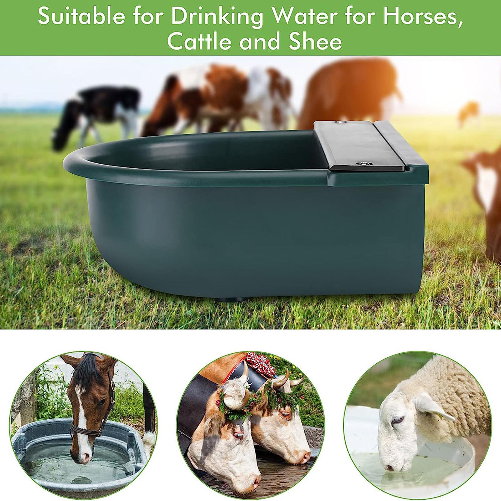 4L Cattle Cow Sheep Water Bowl Large Capacity Water Bowl with Float Valve Simple Installation Livestock Water Bowl for Farmhouse
4L Cattle Cow Sheep Water Bowl Large Capacity Water Bowl with Float Valve Simple Installation Livestock Water Bowl for Farmhouse