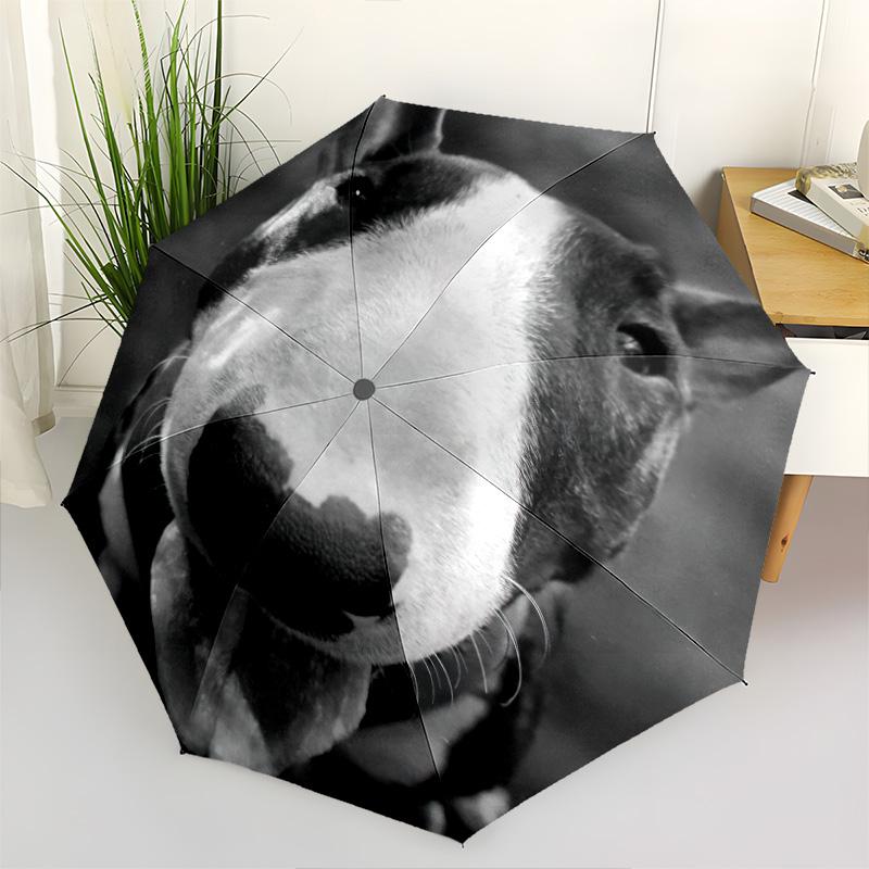 1pc dog Umbrella Portable Folding Umbrella Iron Frame Hole Bone Structure Outdoor Home Umbrella
1pc dog Umbrella Portable Folding Umbrella Iron Frame Hole Bone Structure Outdoor Home Umbrella