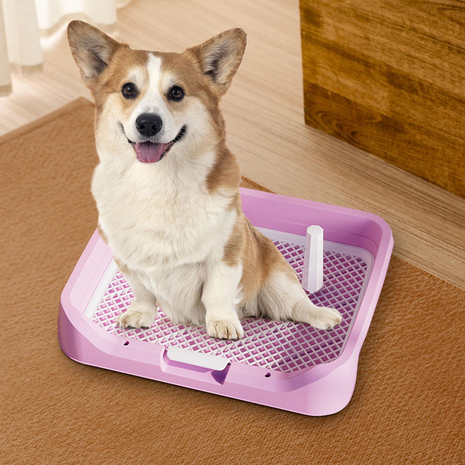 Удобный туалетный коврик для горшка для собак со съемным держателем для дрессировки домашних животных розовый
Удобный туалетный коврик для горшка для собак со съемным держателем для дрессировки домашних животных розовый