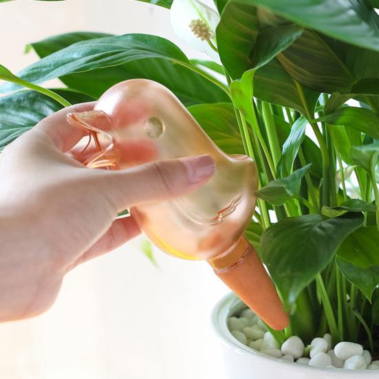 Yousheng 3 Pcs Self Watering Spikes Bird Shape Automatic Watering Globes Slow Release Plant Watering Bulbs for Indoor Outdoor Plants 3pcs
Yousheng 3 Pcs Self Watering Spikes Bird Shape Automatic Watering Globes Slow Release Plant Watering Bulbs for Indoor Outdoor Plants 3pcs